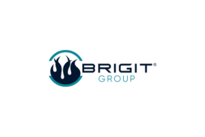 Brigit Logo